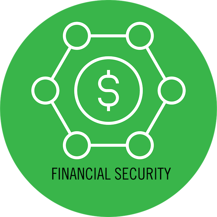 Financial Security Icon Financial Security Icon